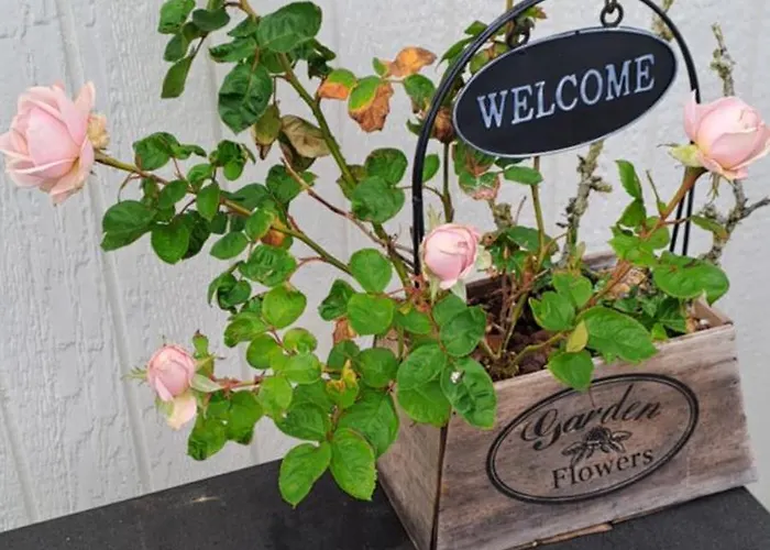 Strandhuset Nocleg ze śniadaniem Tranekær